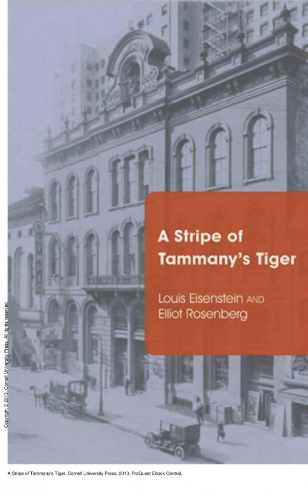 A Stripe Of Tammanys Tiger 1st Edition Louis Eisenstein Elliot Rosenberg