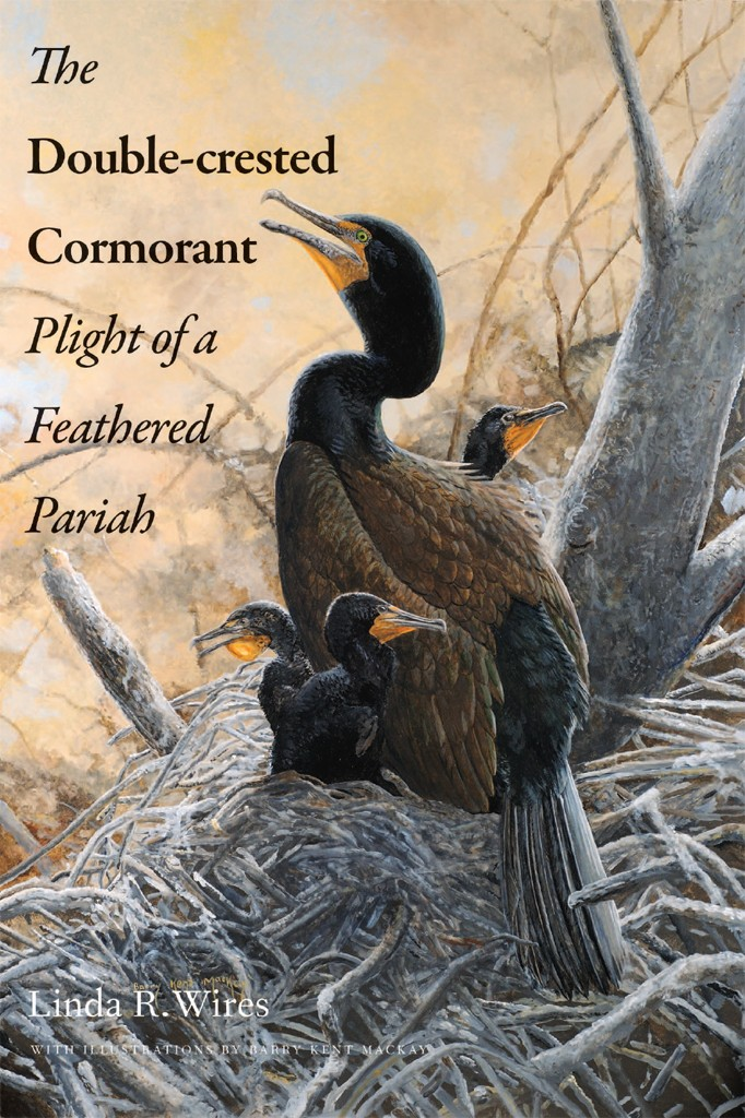 Status Of The Doublecrested Cormorant Phalacrocorax Auritus In North America Linda R Wires Francesca J Cuthbert Dale R Trexel Anup R Joshi