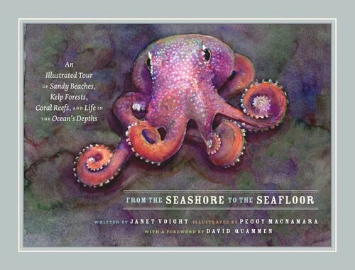 From The Seashore To The Seafloor An Illustrated Tour Of Sandy Beaches Kelp Forests Coral Reefs And Life In The Oceans Depths Janet Voight Peggy Macnamara David Quammen