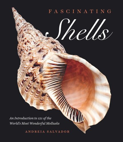 Fascinating Shells An Introduction To 121 Of The Worlds Most Wonderful Mollusks Andreia Salvador