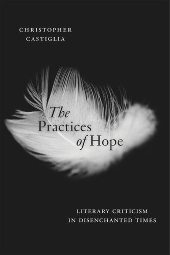 The Practices Of Hope Literary Criticism In Disenchanted Times Christopher Castiglia