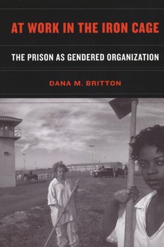 At Work In The Iron Cage The Prison As Gendered Organization Dana M Britton