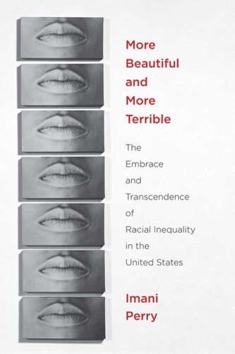More Beautiful And More Terrible The Embrace And Transcendence Of Racial Inequality In The United States Imani Perry