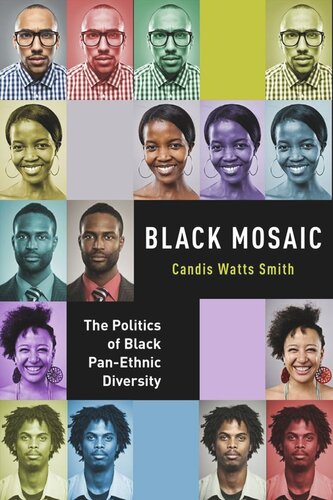 Black Mosaic The Politics Of Black Panethnic Diversity Candis Watts Smith