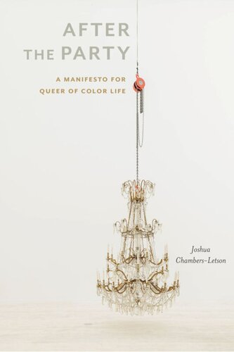 After The Party A Manifesto For Queer Of Color Life Joshua Chambersletson