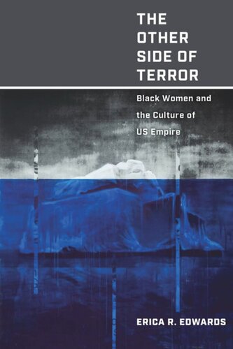 The Other Side Of Terror Black Women And The Culture Of Us Empire Erica R Edwards