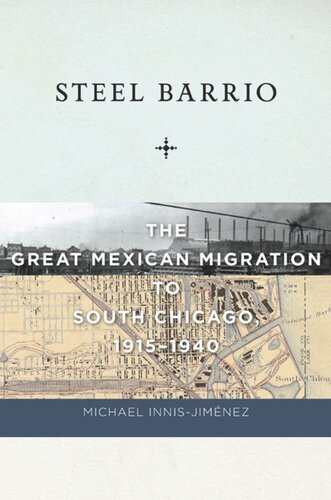 Steel Barrio The Great Mexican Migration To South Chicago 19151940 Michael Innisjimnez