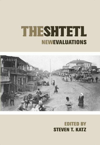 The Shtetl New Evaluations Steven T Katz Editor