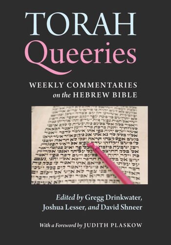 Torah Queeries Weekly Commentaries On The Hebrew Bible Gregg Drinkwater Editor Joshua Lesser Editor David Shneer Editor Judith Plaskow Editor