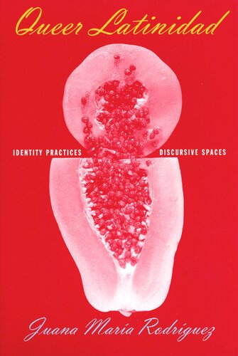 Queer Latinidad Identity Practices Discursive Spaces Juana Mara Rodrguez