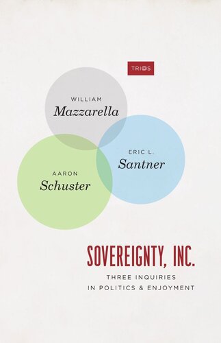 Sovereignty Inc Three Inquiries In Politics And Enjoyment William Mazzarella Eric L Santner Aaron Schuster