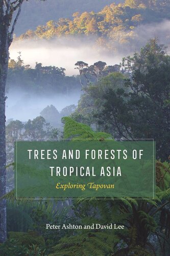 Trees And Forests Of Tropical Asia Exploring Tapovan Peter Ashton David Lee