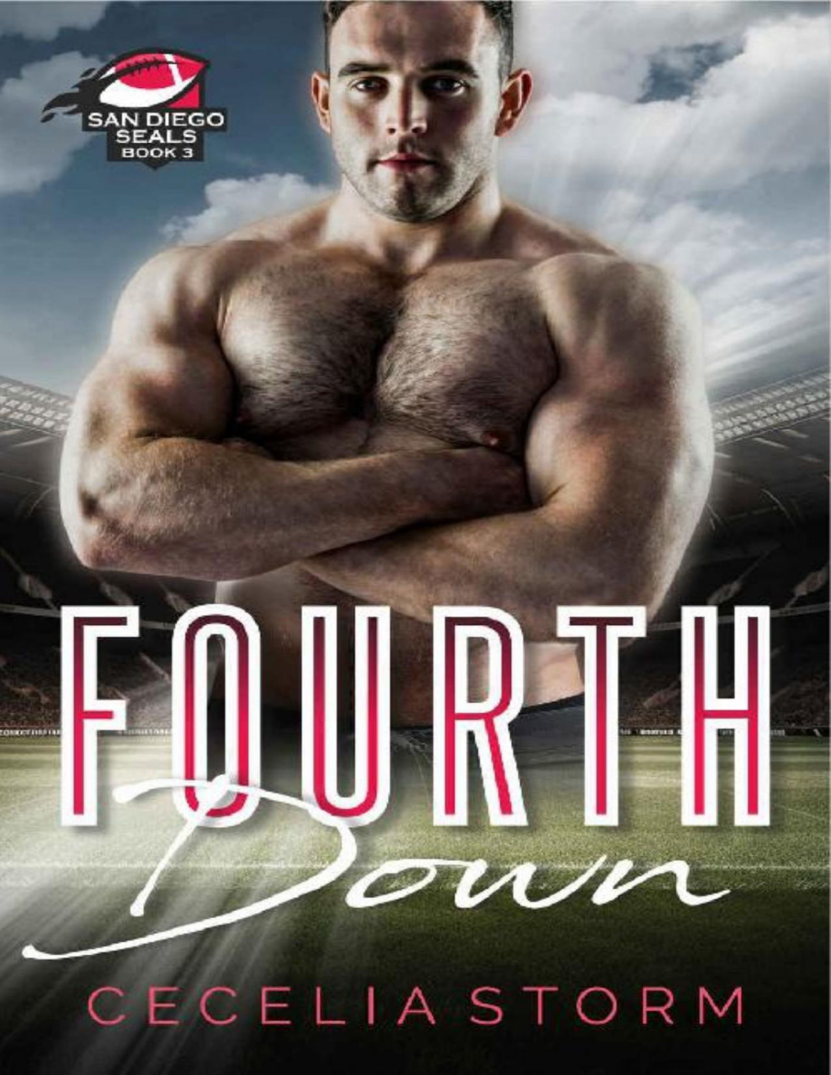 Fourth Down San Diego Seals Book 3 A Friends To Lovers Mm Sports Romance Cecelia Storm