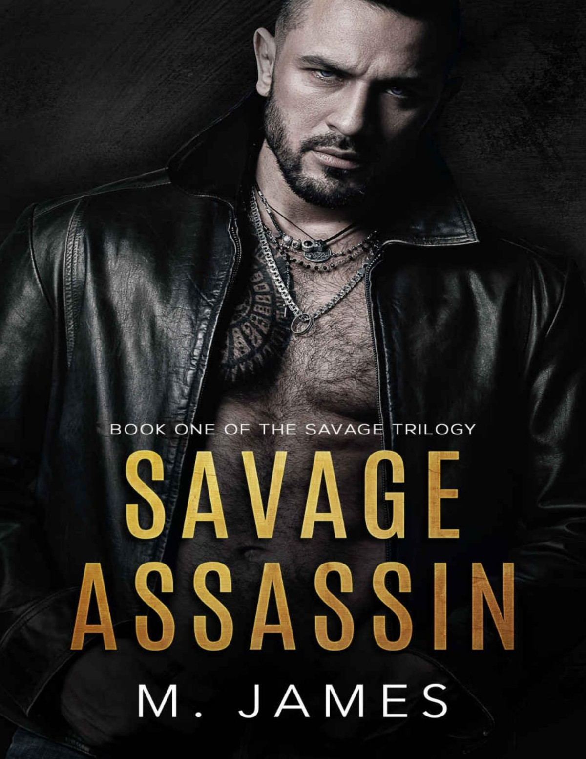 Savage Assassin A Dark Mafia Romance The Savage Trilogy Book 1 M James