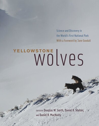 Yellowstone Wolves Science And Discovery In The Worlds First National Park Douglas W Smith Editor Daniel R Stahler Editor Daniel R Macnulty Editor Jane Goodall Editor