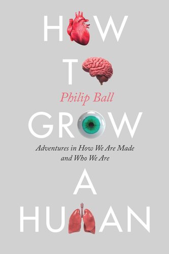 How To Grow A Human Adventures In How We Are Made And Who We Are Philip Ball