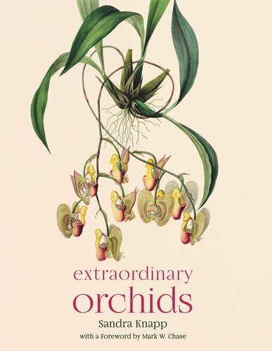 Extraordinary Orchids Sandra Knapp Mark W Chase