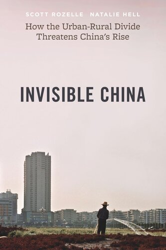 Invisible China How The Urbanrural Divide Threatens Chinas Rise Scott Rozelle Natalie Hell