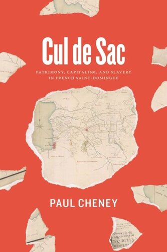 Cul De Sac Patrimony Capitalism And Slavery In French Saintdomingue Paul Cheney