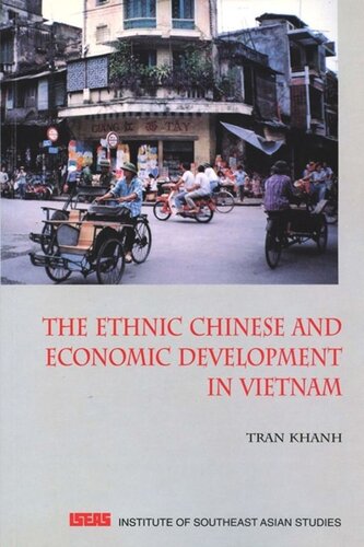 The Ethnic Chinese Economic Development In Vietnam Tran Khanh