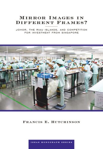 Mirror Images In Different Frames Johor The Riau Islands And Competition For Investment From Singapore Francis E Hutchinson