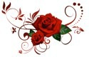 Shattered Throne A Dark Mafia Romance War Of Roses Universe Mice And Men Book 3 Lana Sky