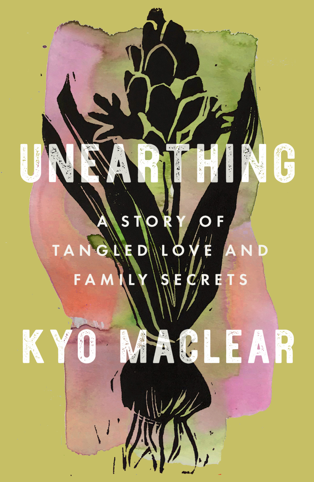Unearthing A Story Of Tangled Love And Family Secrets 1st Edition Kyo Maclear