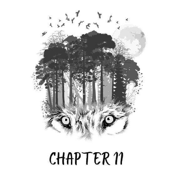 Stalker The Luna Series Book 5 Letty Frame