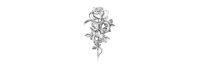 Snakes Lovers Part Two Snakes Lovers Duet Book 2 Kl Coburn