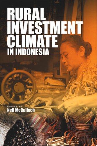 Rural Investment Climate In Indonesia Neil Mcculloch Editor