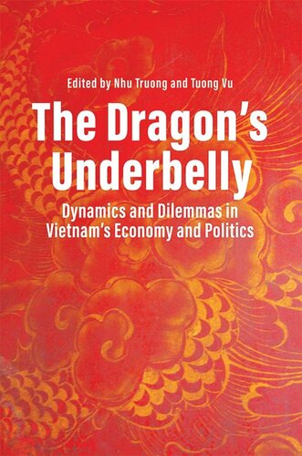 The Dragons Underbelly Dynamics And Dilemmas In Vietnams Economy And Politics Nhu Truong Editor Vu Tuong Editor