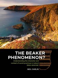 The Beaker Phenomenon Understanding The Character And Context Of Social Practices In Ireland 25002000 Bc 1st Edition Neil Carlin