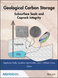 Geological Carbon Storage Subsurface Seals And Caprock Integrity Stphanie Vialle Jonathan Ajofranklin J William Carey