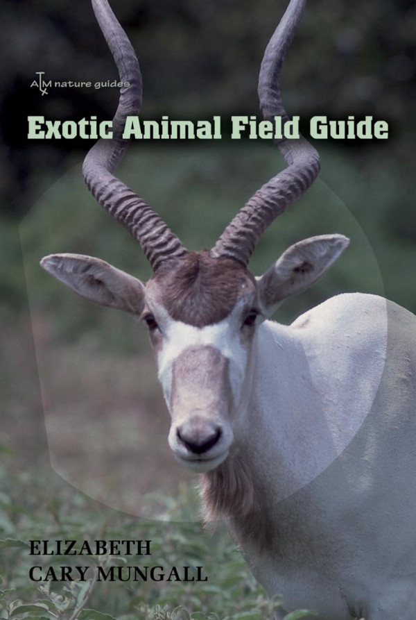 Exotic Animal Field Guide Nonnative Hoofed Mammals In The United States 1st Edition Elizabeth Cary Mungall Ike C Sugg