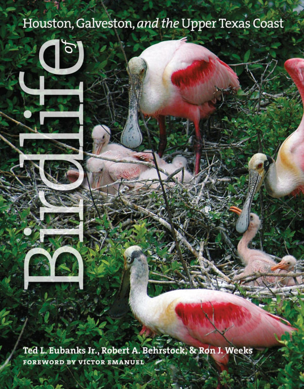 Birdlife Of Houston Galveston And The Upper Texas Coast 1st Edition Ted Eubanks Robert A Behrstock Ron J Weeks Victor Emanuel