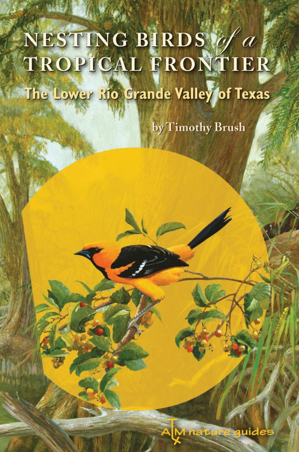 Nesting Birds Of A Tropical Frontier The Lower Rio Grande Valley Of Texas 1st Edition Timothy Brush