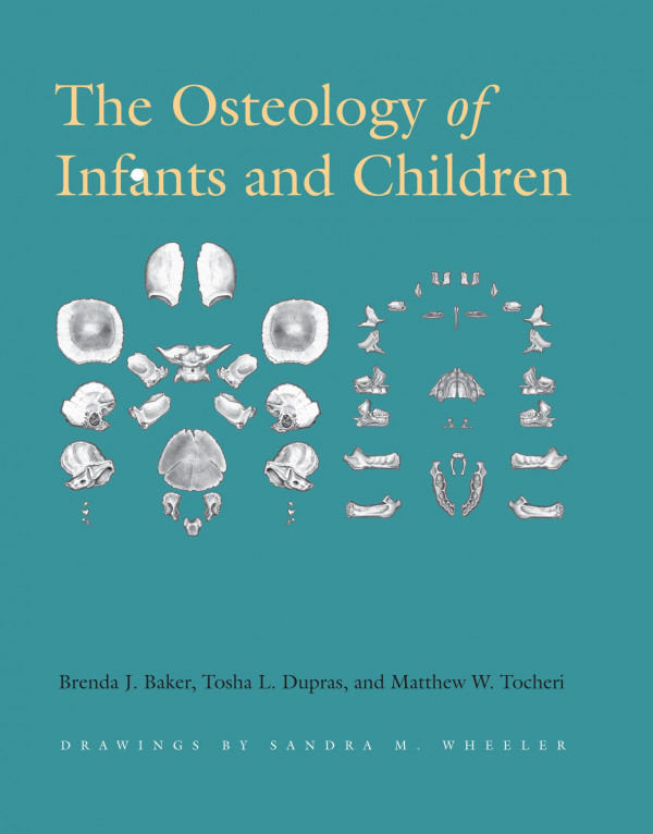 The Osteology Of Infants And Children 1st Edition Brenda J Baker