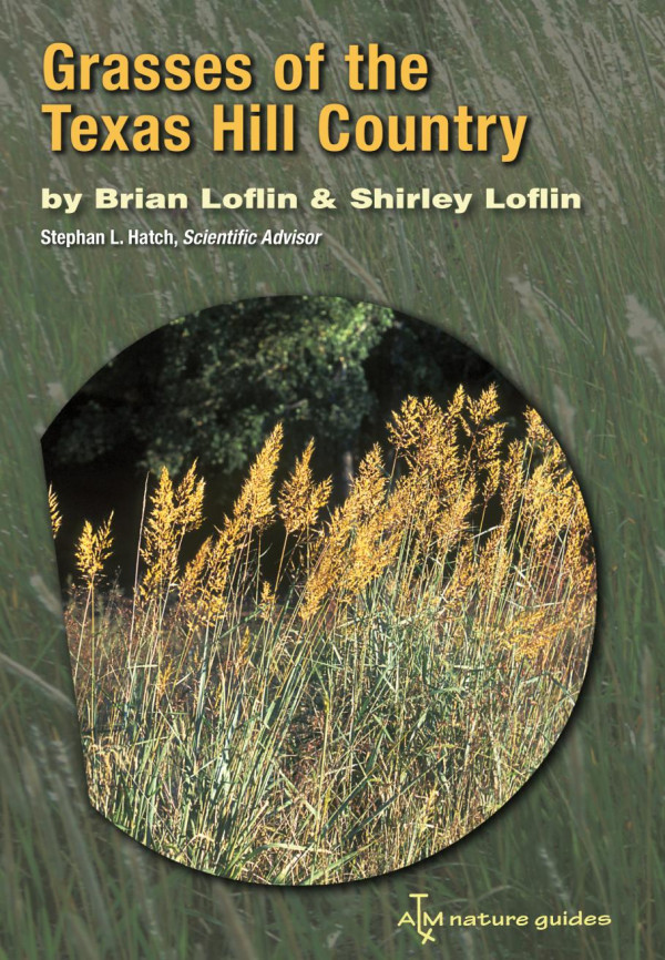 Grasses Of The Texas Hill Country A Field Guide 1st Edition Stephan L Hatch Shirley Loflin Brian Loflin
