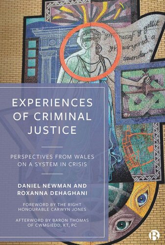 Experiences Of Criminal Justice Perspectives From Wales On A System In Crisis Daniel Newman Roxanna Dehaghani