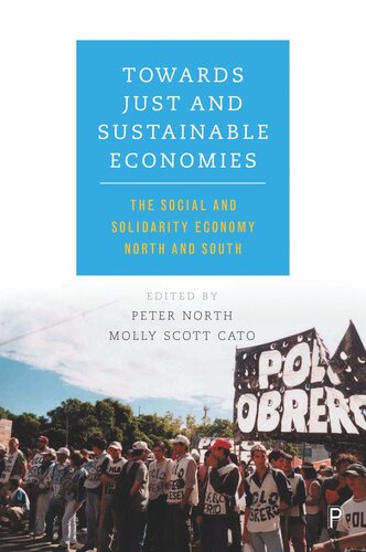 Towards Just And Sustainable Economies The Social And Solidarity Economy North And South Peter North Editor Molly Scott Cato Editor