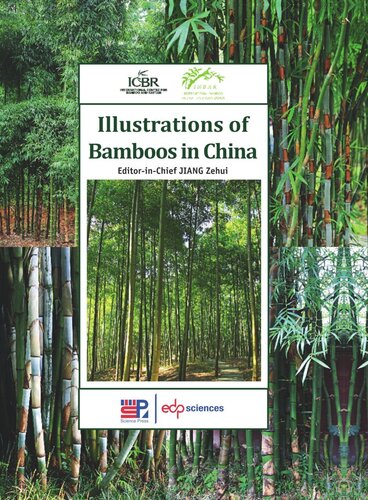 Illustrations Of Bamboos In China Zehui Jiang