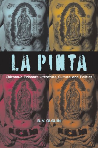 La Pinta Chicanao Prisoner Literature Culture And Politics B V Olgun