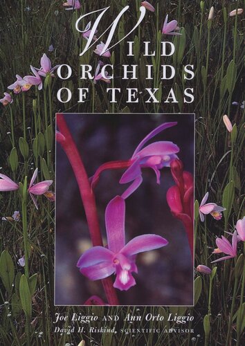Wild Orchids Of Texas Joe Liggio Ann Orto Liggio David H Riskind