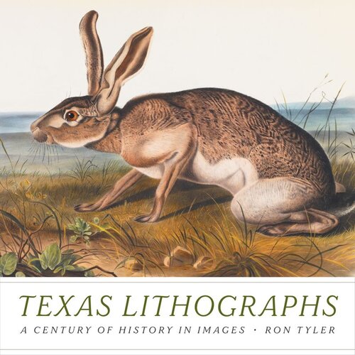 Texas Lithographs A Century Of History In Images Ron Tyler