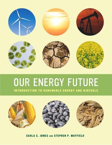 Our Energy Future Introduction To Renewable Energy And Biofuels Carla S Jones Stephen P Mayfield