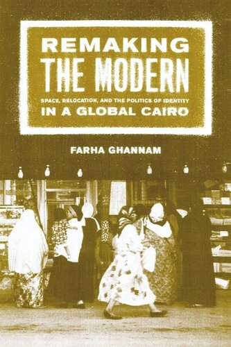 Remaking The Modern Space Relocation And The Politics Of Identity In A Global Cairo Farha Ghannam