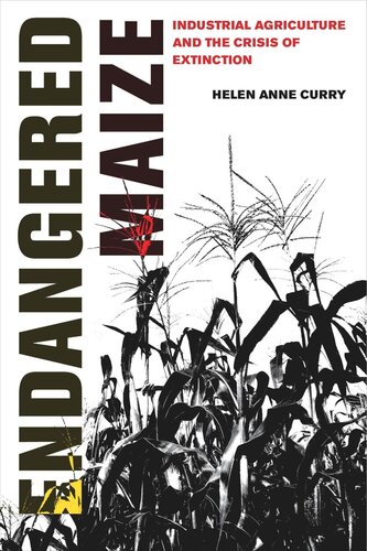 Endangered Maize Industrial Agriculture And The Crisis Of Extinction Helen Anne Curry