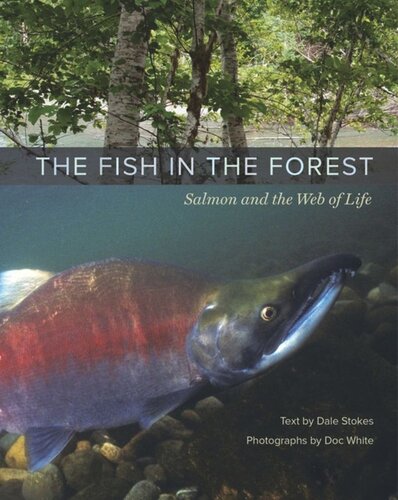 The Fish In The Forest Salmon And The Web Of Life Dale Stokes