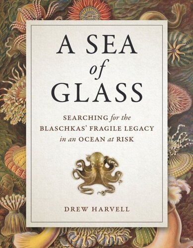 A Sea Of Glass Searching For The Blaschkas Fragile Legacy In An Ocean At Risk Drew Harvell