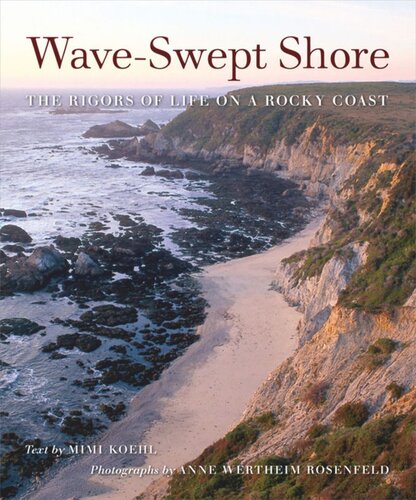 Waveswept Shore The Rigors Of Life On A Rocky Coast Mimi A R Koehl